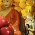 Vòng Tay Tourmaline Đen Chiêu Tài Cá Nhân